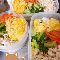 🍱持って出発🫡