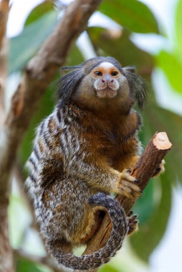 ケラケラ(  ＾∀＾)笑