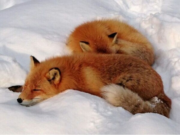 ✨今日も1日お疲れ様です✨