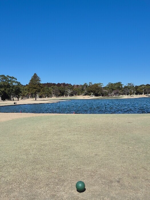 ✨🪷2月17日🪷✨