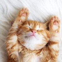 お疲れ様です🐧✨️