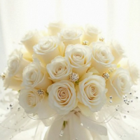 土曜出勤はレアです