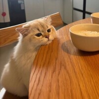 出勤しました☀