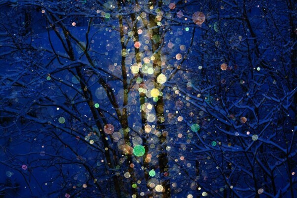 ✨本日もありがとうございました✨