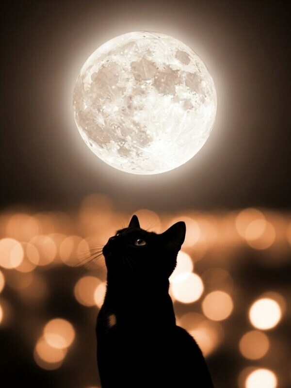 ありがとうございました✨