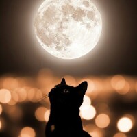 ありがとうございました✨