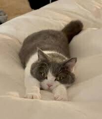 ✨おはようございます✨