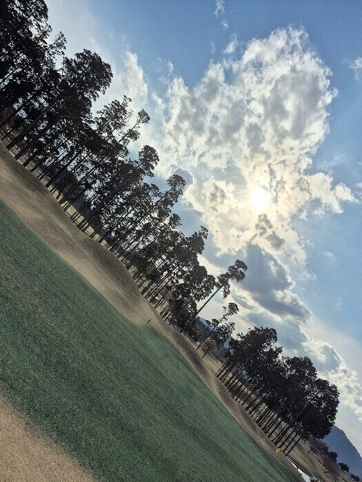 ✨🪷アンフェア傾斜グリーン🪷✨