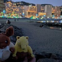 出勤しました☀