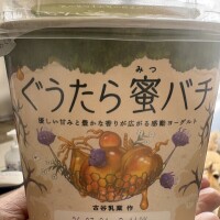 土曜日お休みです🙏