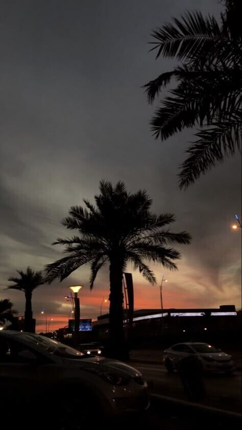 出勤しました🎀