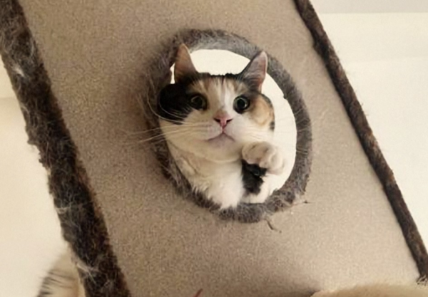 これから向かいます🚘