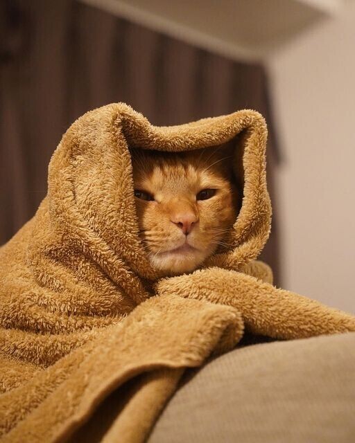 出勤しました😹