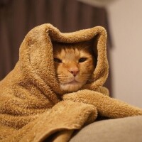 出勤しました😹