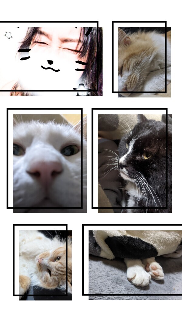 忘れちゃいけない！！