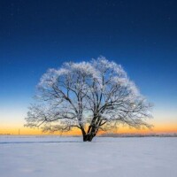 ✨おはようございます✨