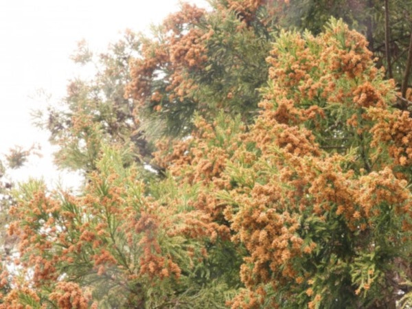 おはようございます！