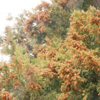 おはようございます！