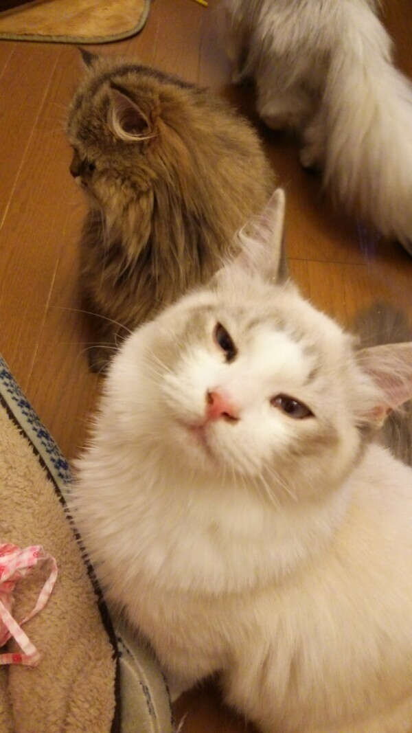 出勤しました☀︎