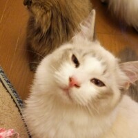 出勤しました☀︎