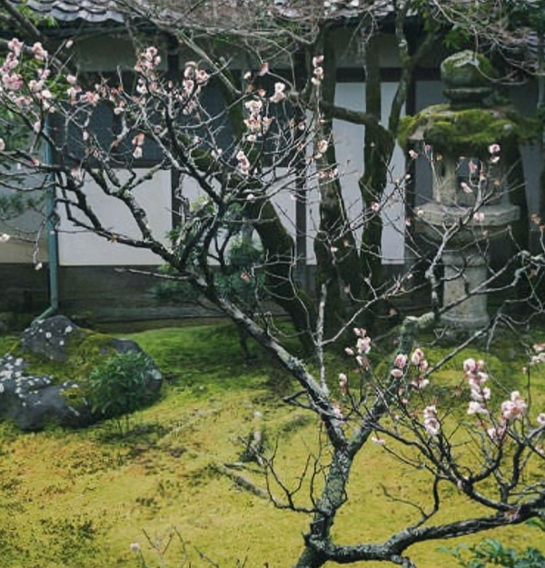 お店に向かってます🚘