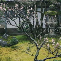 お店に向かってます🚘