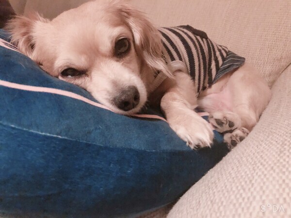 おやすみなさい♥️