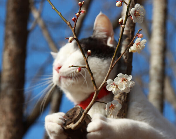 ✨出勤しました✨