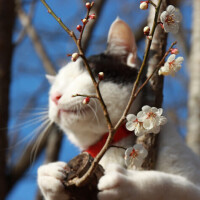 ✨出勤しました✨