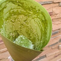 出勤しました☀