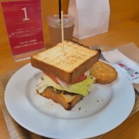 ✨🪷1月21日🪷✨