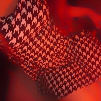 ✨🪷ラストまで🪷✨