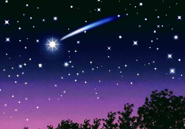 おやすみなさい😴