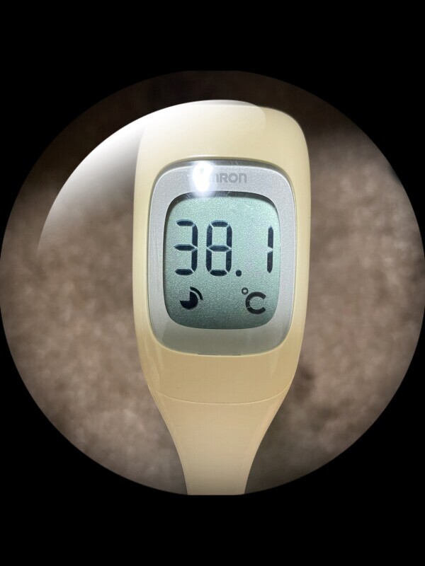 おはようございます☔