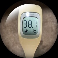 おはようございます☔