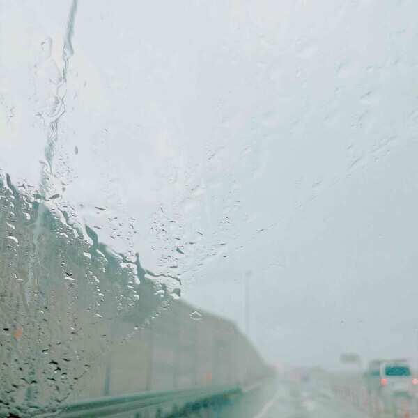 おはようございます*☂︎*̣̩⋆̩