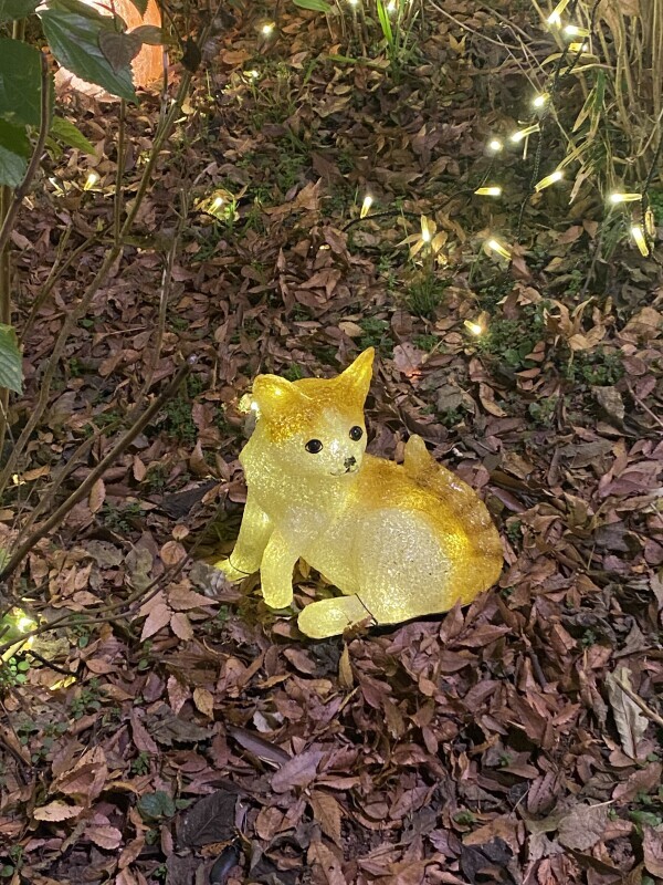 出勤しました( ¨̮ )