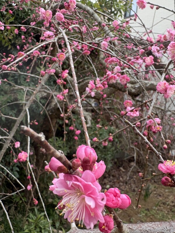 水曜日夕方から出勤です🤗