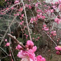 水曜日夕方から出勤です🤗