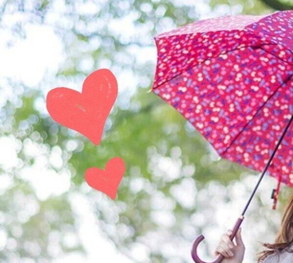 ✨🪷これから🪷✨