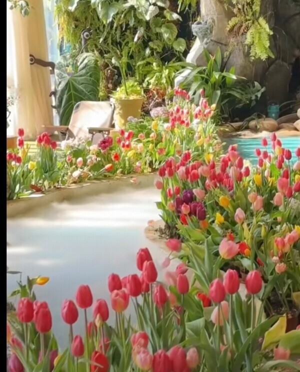 ✨🪷2月25日🪷✨