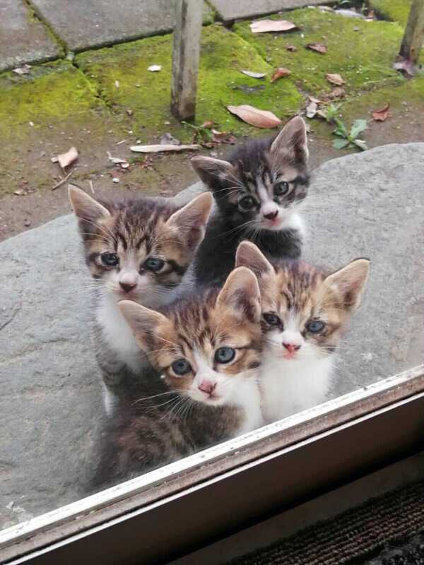 出勤してます🎀