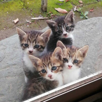 出勤してます🎀