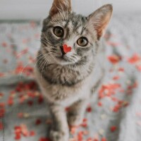 出勤しました☀