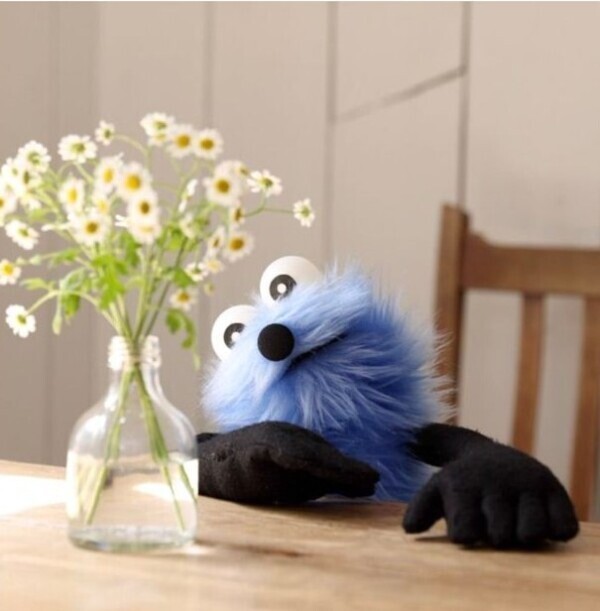 ありがとうございました🌼*･