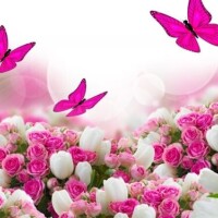 ありがとうございました♥️