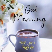 ✨おはようございます✨