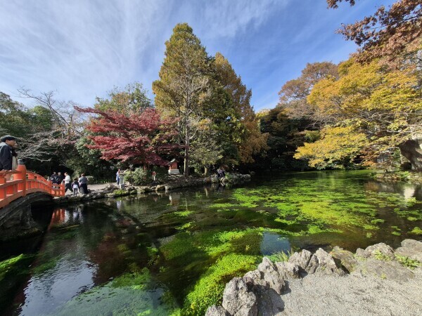 ✨🪷2月26日🪷✨