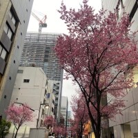 もうこんばんはの時間…