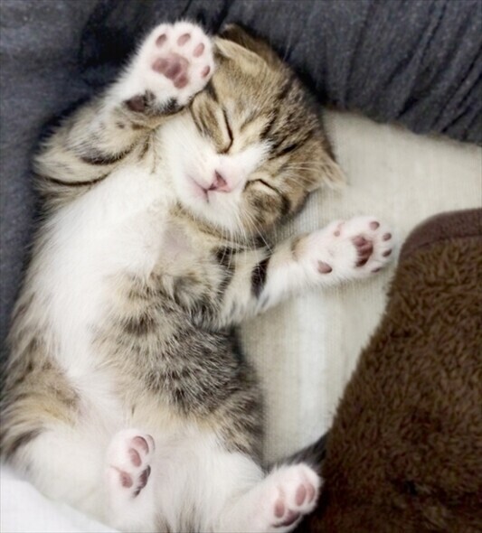 ✨本日もありがとうございました✨